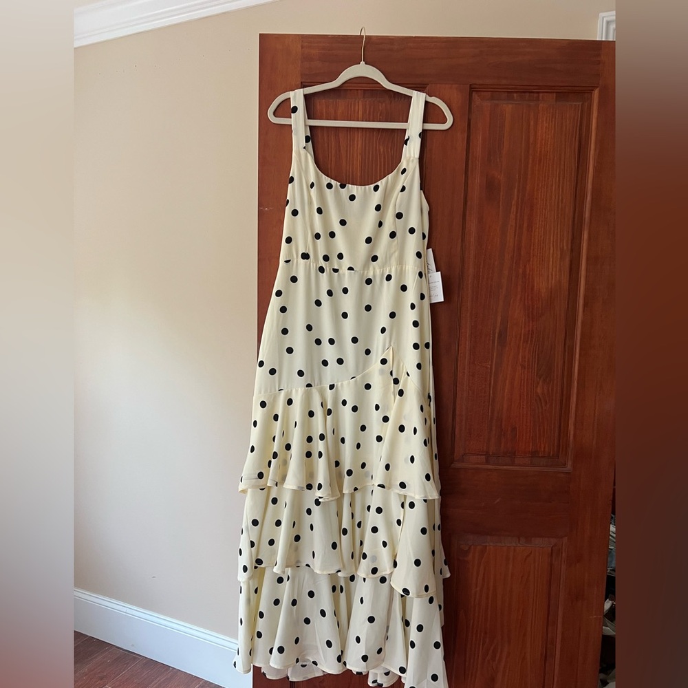Petal & Pup Mabel Polka Dot Maxi Dress